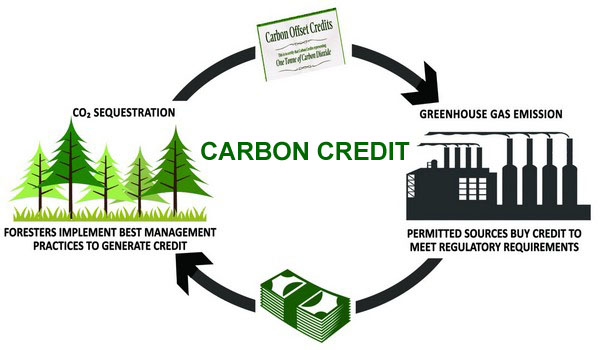 Carbon Credit and Carbon Tax